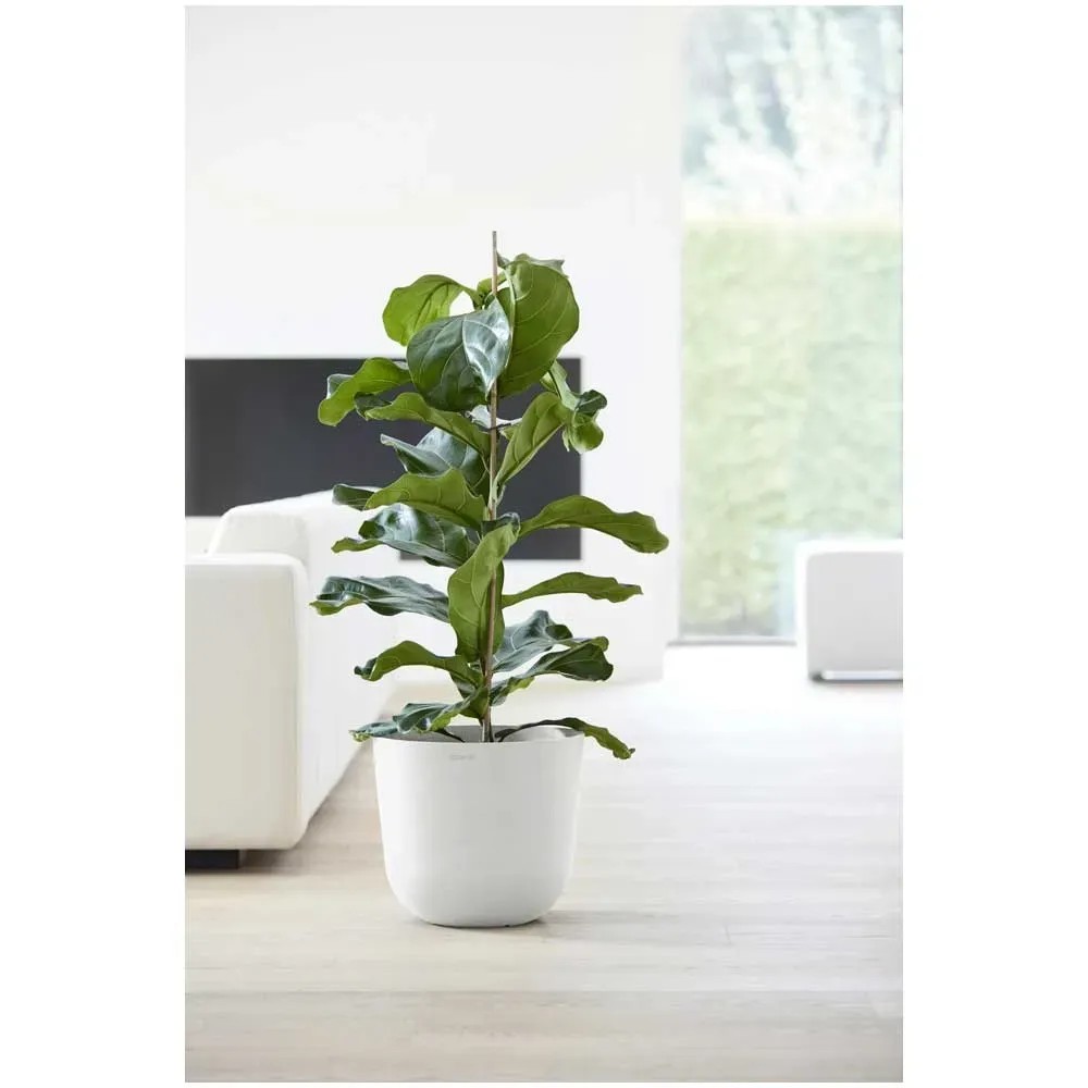 Sottovaso Per Vaso Da Fiori In Ceramica Color Crema H 2 X L 15 X P 21 Cm 88099645