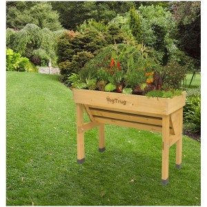 VegTrug Wall Hugger piccolo letto rialzato, legno naturale, piantato con verdure ed erbe aromatiche in giardino.