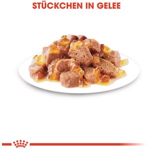 Royal Canin Sterilised Katzen-Nassfutter in Gelee, 85g Portion auf einem Teller.