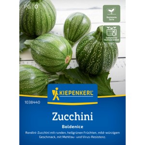 Paquet de graines de courgettes Kiepenkerl Boldenice avec des courgettes rondes vert clair.