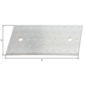 Plaque perforée en acier galvanisé, 200 x 100 mm, avec de nombreux trous pour un montage facile.