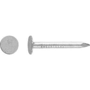 Clous pour feutre de toiture Acier galvanisé à chaud 300 pcs