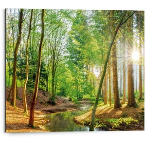 Next Deco Panel Spring Woods: Quadro MDF con motivo forestale, 40x50 cm. Natura, alberi, ruscello.