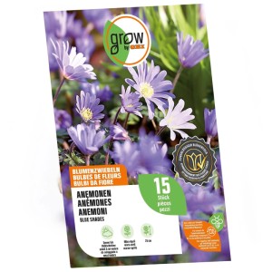 Blumenzwiebeln: Anemonen Blue Shades von GROW by OBI, 15 Stück, zarte blaue Blüten.