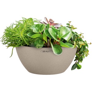 Lechuza Cubeto Stone 30 pot de fleurs beige sable avec plantes, Ø 30 cm.