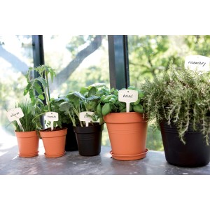 Pots de semis Elho Green Basics, Ø 17 cm, avec herbes et légumes en noir et Living Black.