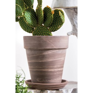 Vaso per piante Deroma Alto Duo, Ø 22 cm, grafite bianco rigato, con cactus.