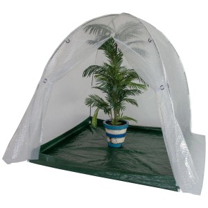 Serra Colibri Winter Dome 150x150x150cm con pianta in vaso.