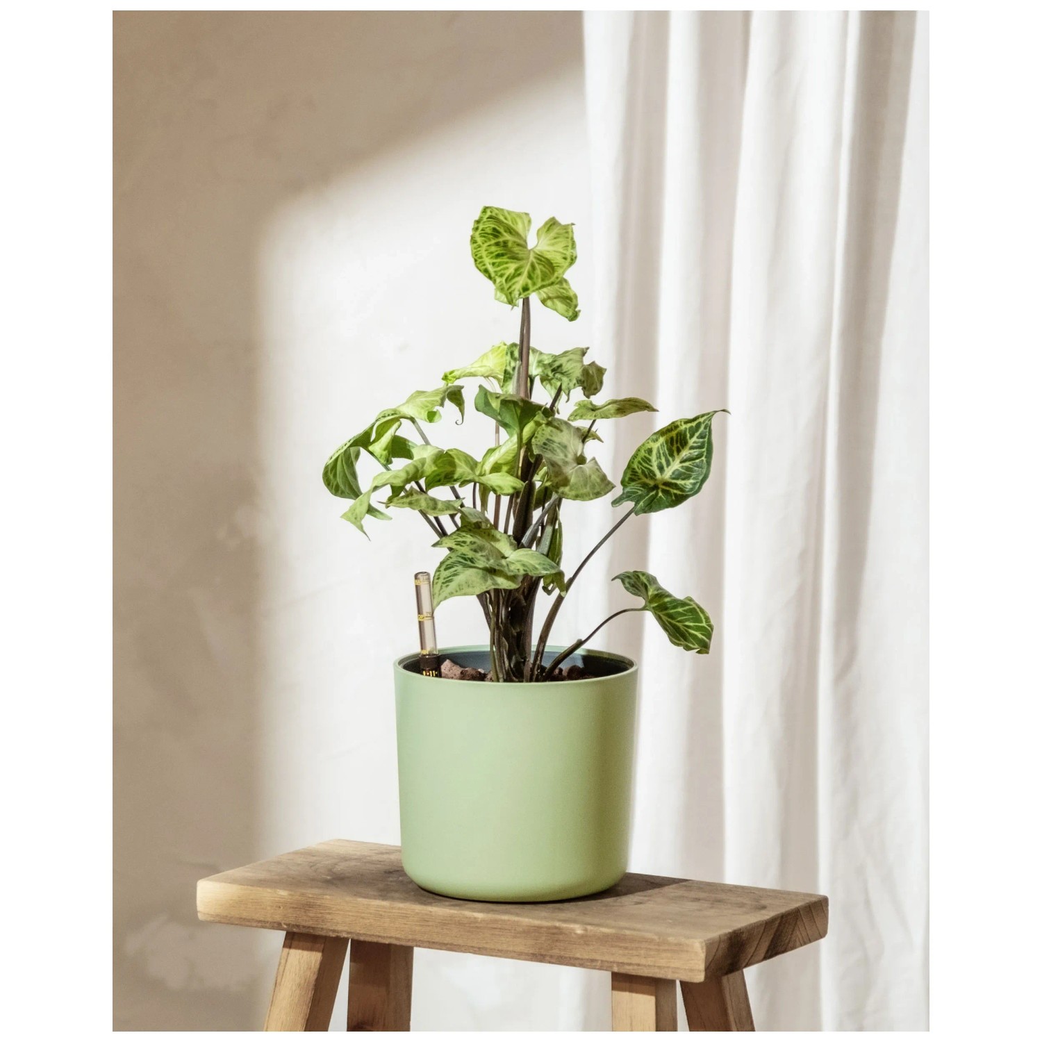 Vaso per fiori Nevada Antracite 31,5 cm / altezza 28 cm
