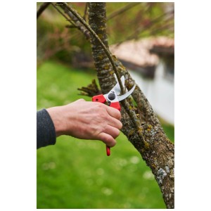 Forbici da potatura Felco 171L in uso: mano che taglia un ramo con le cesoie da giardino. Tagli precisi per il tuo giardino.