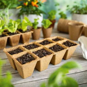 Pots de semis carrés, 6x6 cm, lot de 24, remplis de terre pour la propagation des plantes.