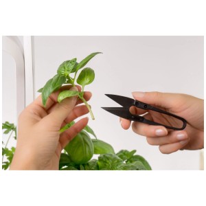 Mini-ciseaux à herbes Véritable coupant du basilic, idéal pour les herbes et les petites plantes.