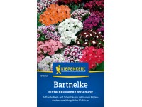 weihnachtsbaum knstlich 210 cm Knstlicher Weihnachtsbaum - Gabriel | 210 cm kaufen