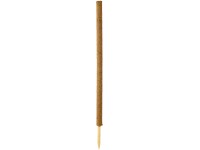 Feey Silbrige Efeutute Scindapsus pictus Trebie Hhe 10 - 20 cm