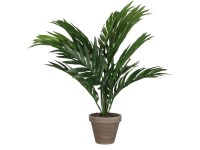 monstera blätter malen Malen nach Zahlen Monstera Blätter main image 1