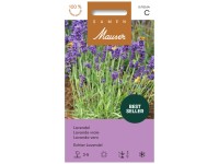 knstliche bananenpflanze gro Knstliche Bananenpflanze 180 cm  Tannendiele BlumenGut Dsseldorf