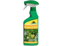aloe vera schädlinge Aloe vera | Sukkulente