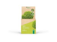 zimmerpflanze fcherpalme Rhapis Excelsa  XXL Fcherpalme